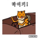 굴다리산곰장어 이미지