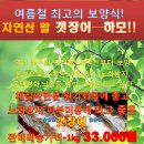 무더운 여름철 최고의 보양식 갯장어 (하모) 판매가격. 이미지