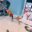 율전동물병원 이미지