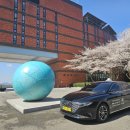 개나리의전 | 🚖대전장거리택시 도마동 → 천안 교보생명 계성원 워크숍 의전 운행 | 각원사 겹벚꽃