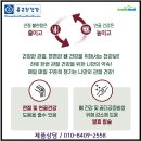 제천황기연합 이미지