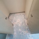 행정중앙1로 이미지