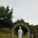 보름달 ㅡ감기몸살 이미지