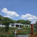 [충북 보은 여행 : 1일차] 일상화카페 및 일상화글램핑 내돈내산 후기