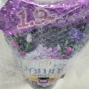 미스티크 | 🌸 향기로 완성되는 하루의 기분, 다우니 미스티크 사용 후기 🌸