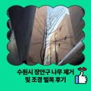 영화동 행정복지센터 프로그램실1 _장안구 | 수원시 장안구 나무 제거 및 조경 벌목 후기