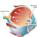 고양신세계안과의원 이미지