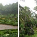 여미지식물원 이미지