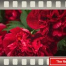 이로움메디컬 이미지