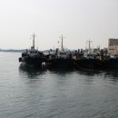 어항단지로 이미지