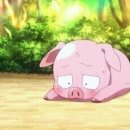 형제농원 이미지