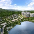 숲속의아침2 이미지