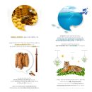 씨에스컴퍼니 이미지