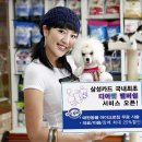 디어펫 머니투데이