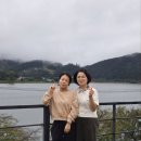 달빛아리수