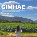 조만강생태체육공원 이동식화장실 | 조만강생태공원 연꽃 김해 여름여행지 가볼만한곳