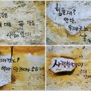 하촌할머니 이미지