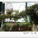 퍼플미학 이미지