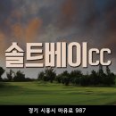 솔트베이(Salt Bay) 골프클럽 이미지