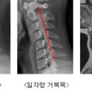 건강튼튼의원 이미지