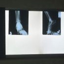 황외과의원 이미지