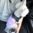 빽다방 울산남목초교점 네이버블로그