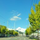 스피드메이트 이마트구미점 이미지