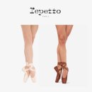 지젤무용학원 | [블챌] 발레 101_토슈즈 (내돈내산 성인취미발레 토슈즈 입추천템)