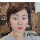 인셀덤 서울본부 안성