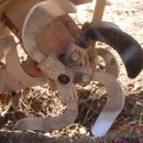 종구농장 이미지