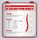 솔담한방병원 네이버블로그