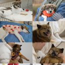 만세셀프 이미지