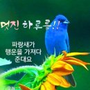 나눔오일모터스 이미지