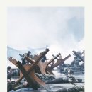 당근바다 이미지