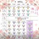 테라피요가(고급) | 자세교정 할 수 있는 철산 요가람핫요가 후기