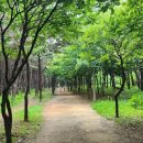 늠내길5코스 정왕둘레길 이미지