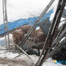 양지축사 이미지