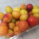 오남매농장 이미지