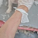 하니 그루밍( Hani Grooming) 이미지