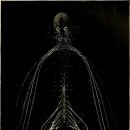 부여장수한의원 이미지