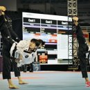 강일체육관(태권도) 이미지