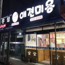미미&핫찌애견미용