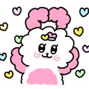 스튜디오코이드