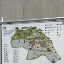 소슬 | 제주 화북 예쁜 감성 꽃집 '소슬' 내돈내산 후기