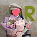 코지피다(COZYFIDA) 이미지