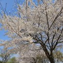 (주)선두 이미지