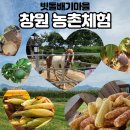 행복한농어촌체험마을 | 경남 창원 아이와 함께 하면 좋은 빗돌배기 농어촌 체험 휴양마을 SNS서포터즈 팜투어 체험 솔직후기
