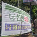 풍영식당 네이버블로그