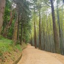 르컬렉티브 부산롯데월드 이미지