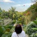 호텔와와 이미지